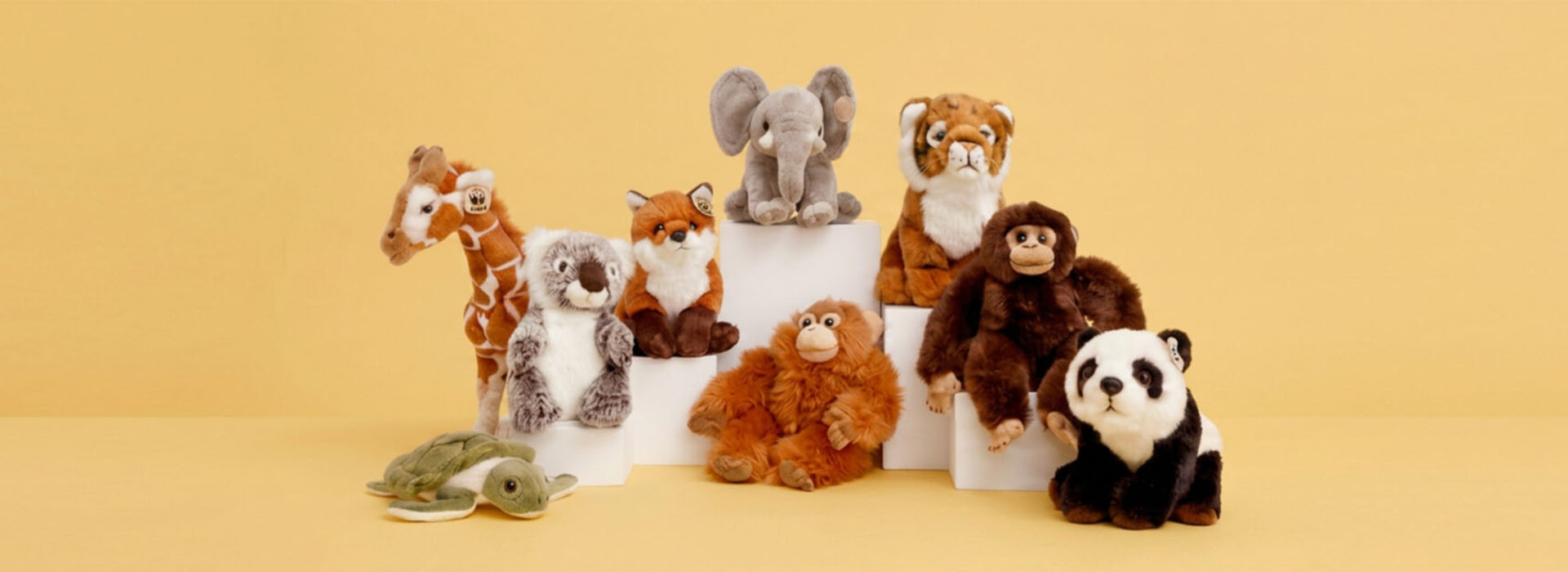 WWF_header-1920x700.jpg