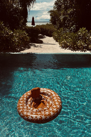 Swim Essentials Badring Baby, Sea Star