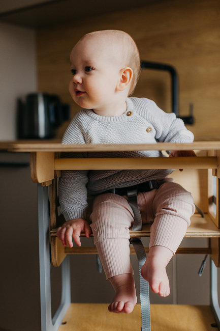 Duck Woodworks 3-i-1 Fällbar Hjälpa Till Pall med Matstol, Grå