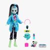 Monster High Creepover Party Docka Frankie Stein