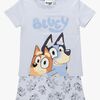 2900003153-BLUEY-4656_1.jpg