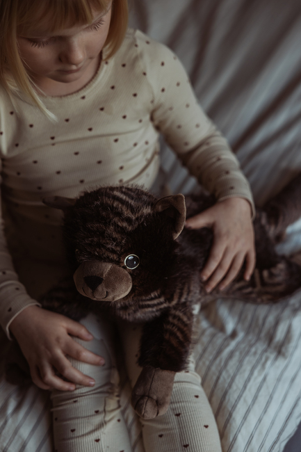 byASTRUP Tyngdgosedjur Katt 1.2 kg