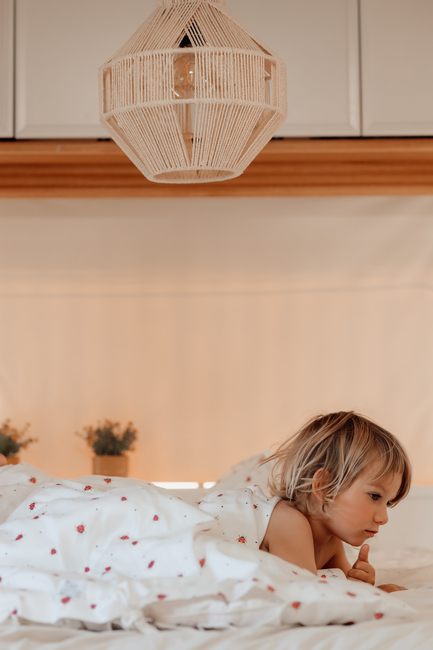 Vanilla Copenhagen Bäddset Junior 100x130, Lady Lovebug