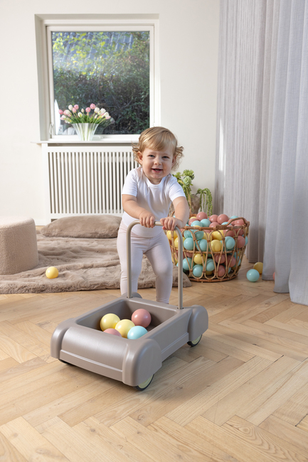 Dantoy Tiny Lära-gå-vagn