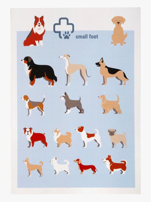 Small Foot Veterinärväska med Kanin