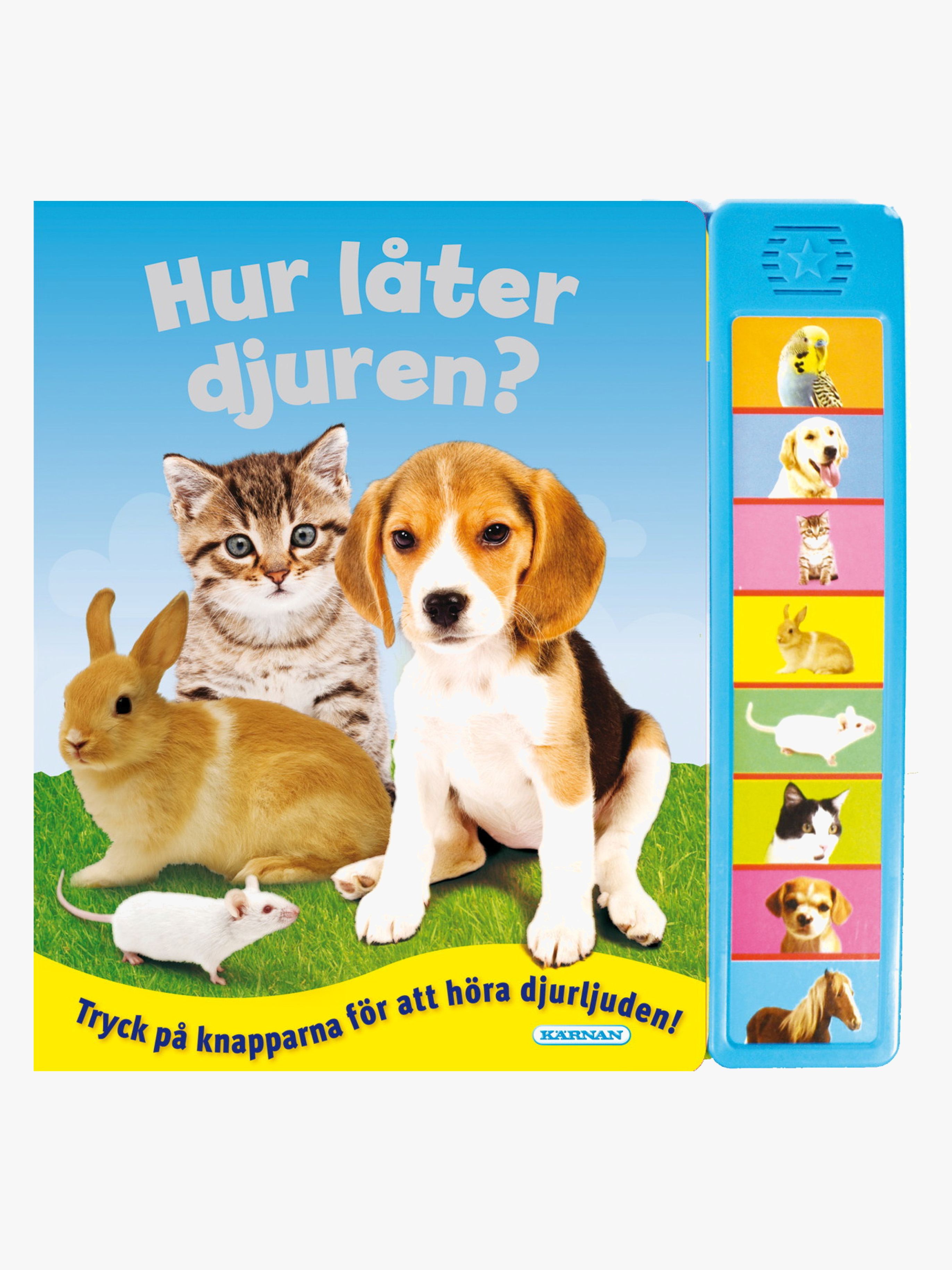 Hur låter djuren? med ljud