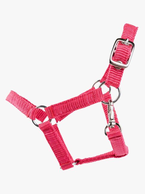 My Hobby Horse Grimma, Rosa