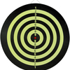Catdart_Traditionell_Darttavla_3b.jpg