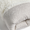 BM-Teddyvantar-CREAM-1882_3b.jpg