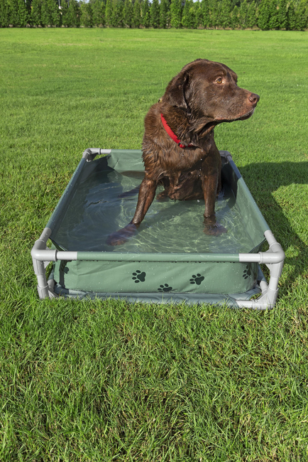 Bestway Djurpool Fetchin' Fun 2-i-1