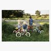 BIKE-LD8002-4563_4b.jpg