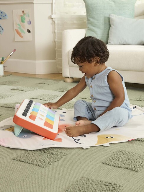 Skip Hop Painted Dreams 4-in-1 Babygym 22033-30-1124_4b.jpg