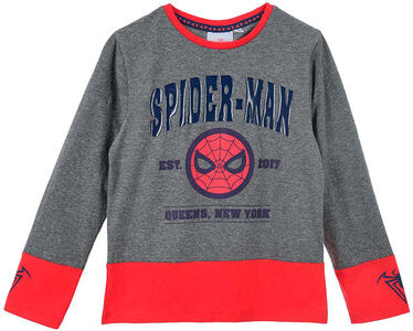 Marvel Spider-Man T-shirt, Grå