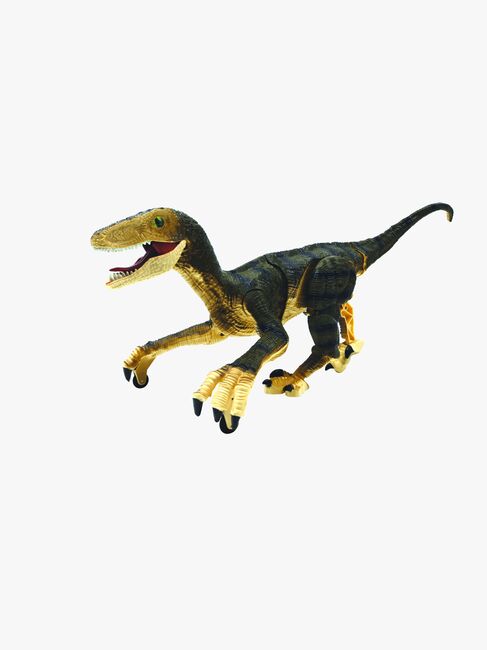 DINO01-2823_3a.jpg