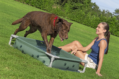 Bestway Djurpool Fetchin' Fun 2-i-1