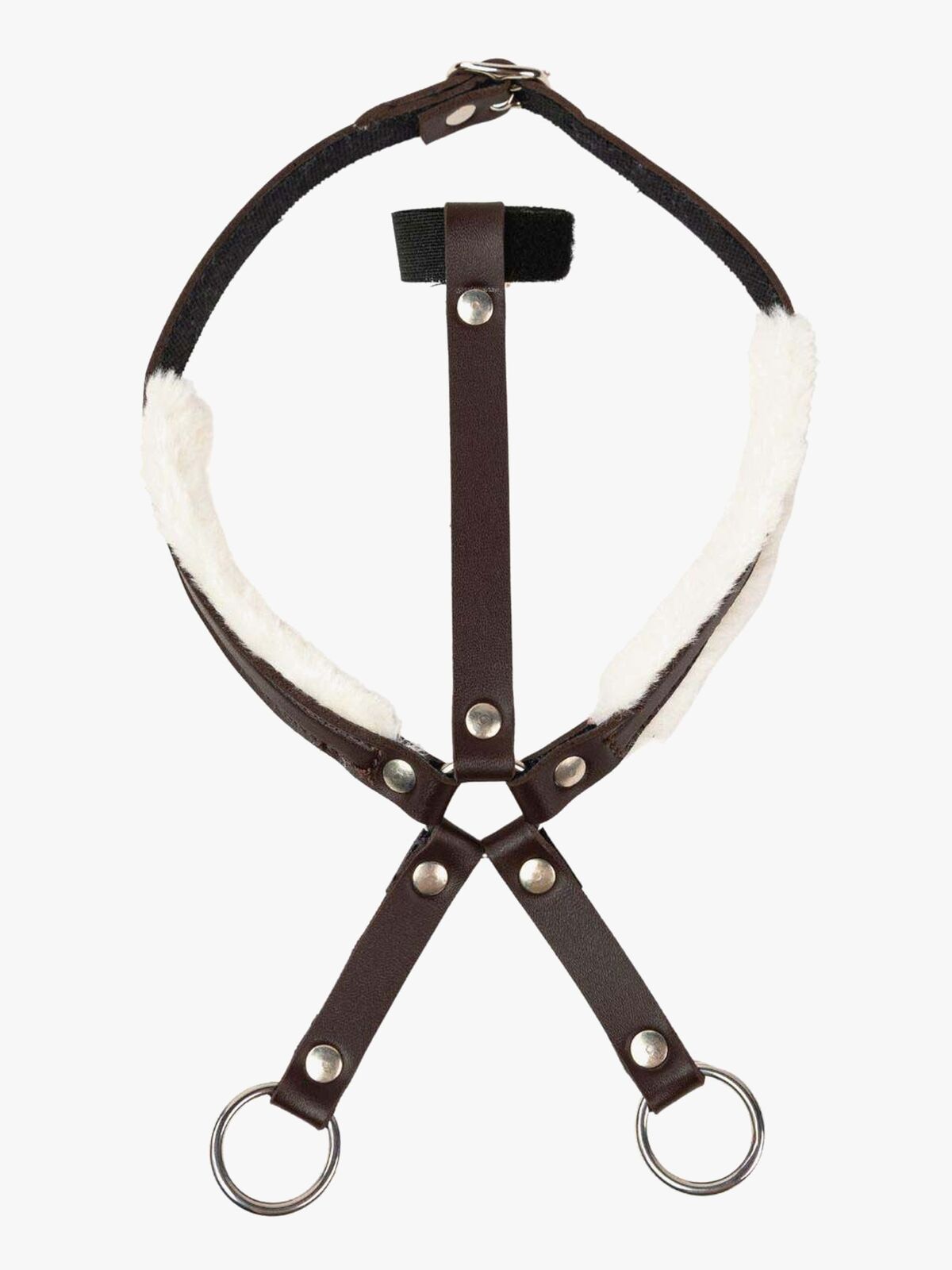 My Hobby Horse Martingal, Brun