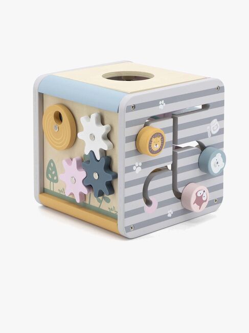 PolarB Aktivitetskub