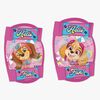 3409pawpatrol-4-4351_3a.jpg