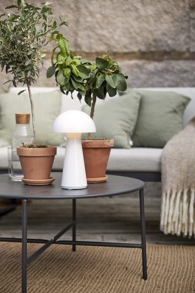 Star Trading Bordslampa Mushroom, Vit