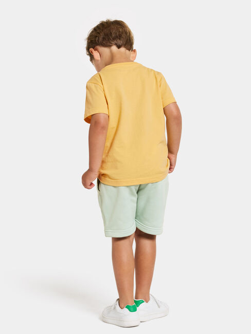 Didriksons Corin Powerstretch Shorts, Pale Mint