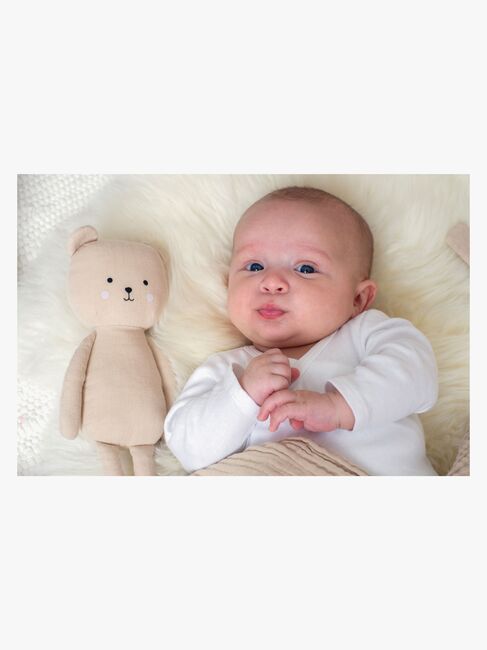 Jabadabado Presentask Buddy Teddy