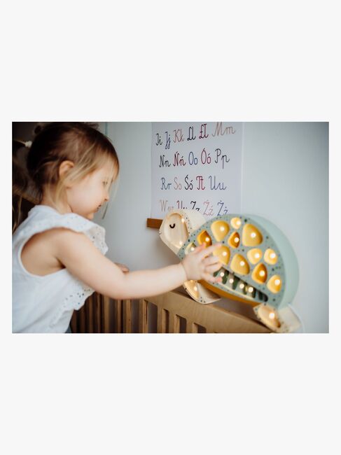 Little Lights Lampa Sköldpadda, Galapagos Sage