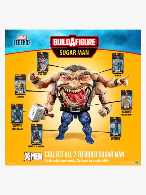 Marvel Legends X-Men Figur Jean Grey