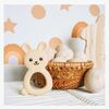 Bunny-JJSD0382-3091_3a.jpg