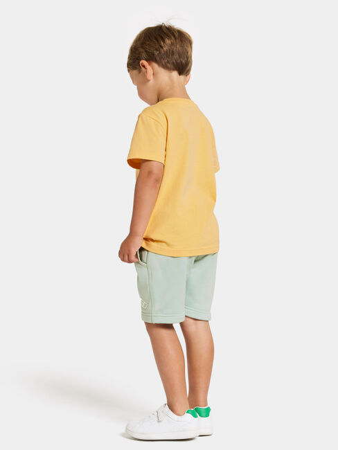 Didriksons Corin Powerstretch Shorts, Pale Mint