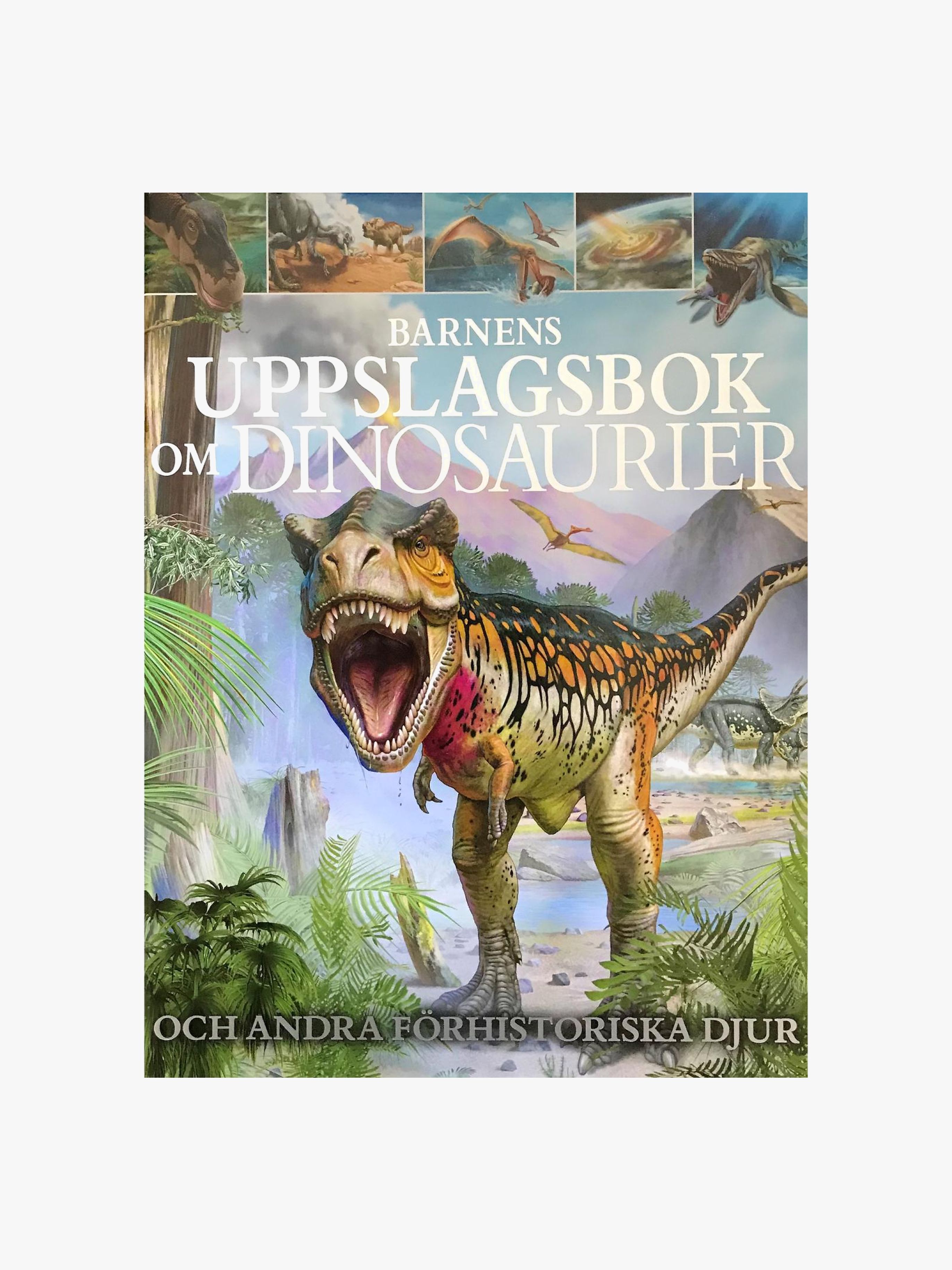 Barthelson Förlag Barnens Uppslagsbok Om Dinosaurier