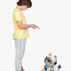 DOG05EN-2823_4b.jpg