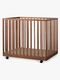 Quax Mori Lekhage, Walnut