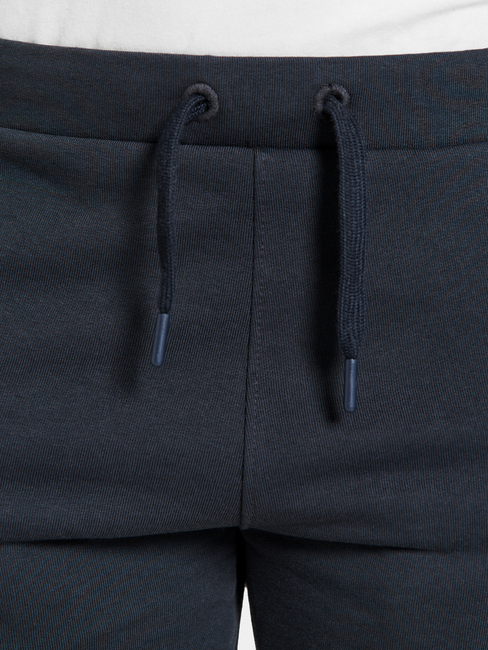 Didriksons Fejan Shorts, Navy