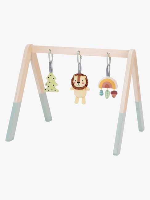 TJ386-BabyGym-4490_1.jpg