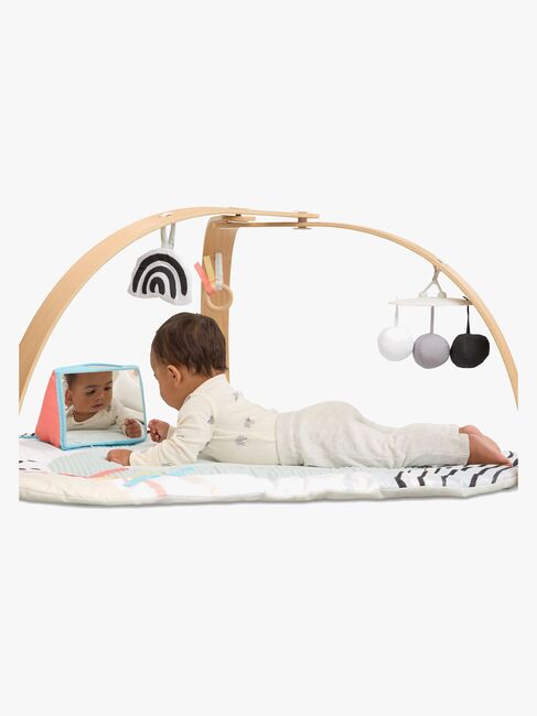 Skip Hop Discoverosity Babygym