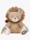 LD8321-lion-4563_1.jpg