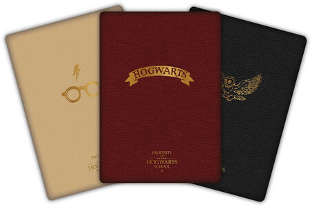 Harry Potter Skrivbok 3-pack