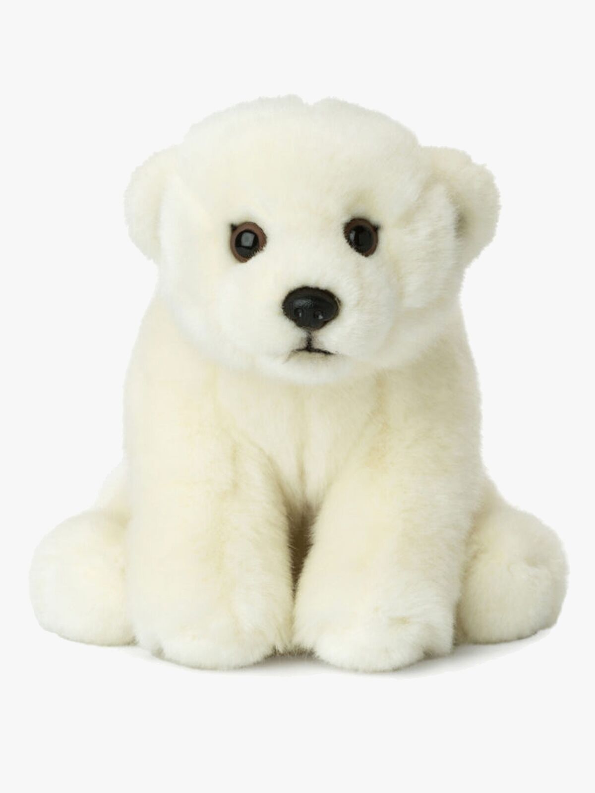 WWF187001-4212_1.jpg