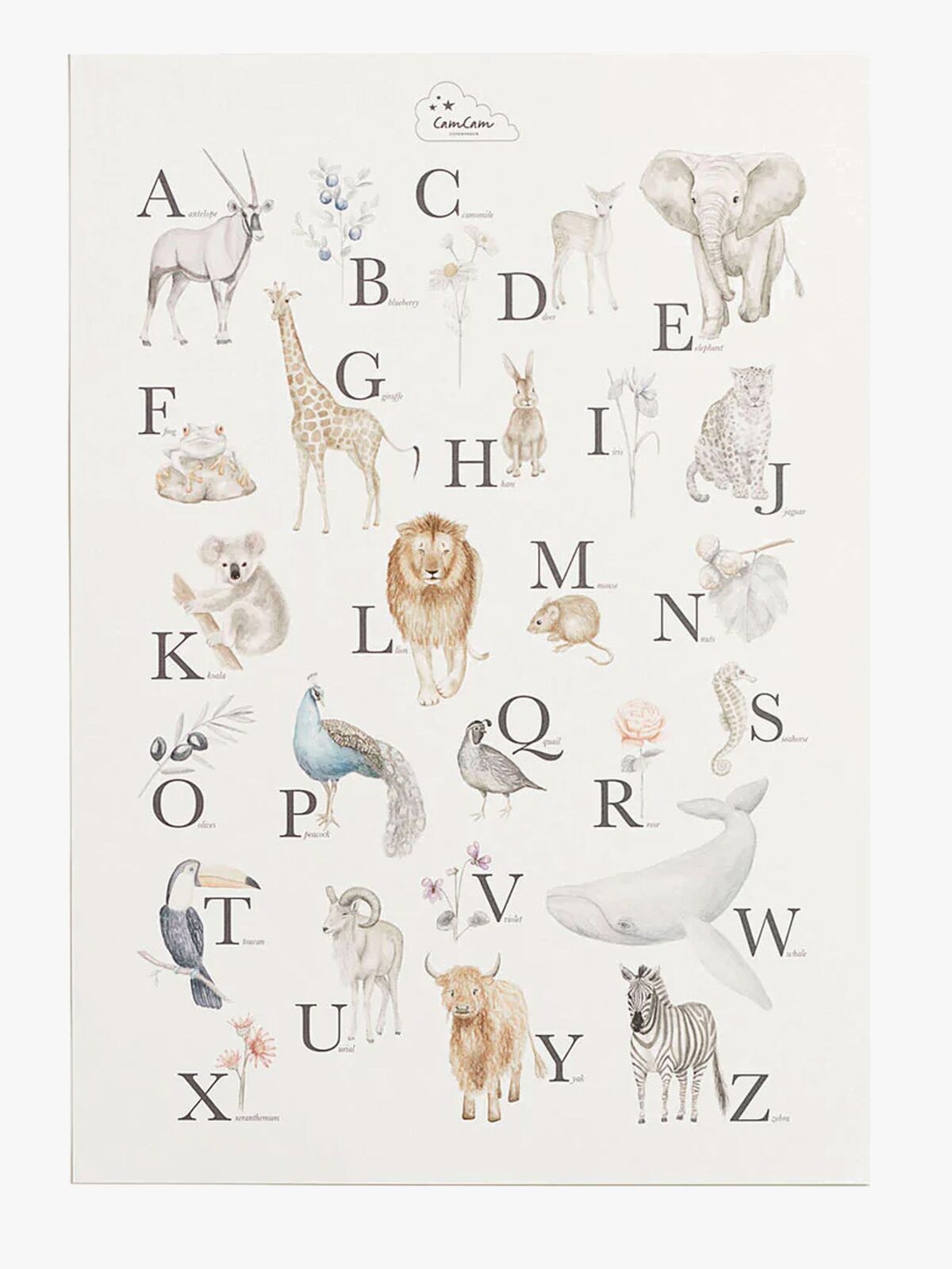 Cam Cam Copenhagen Alfabet Poster, Engelska