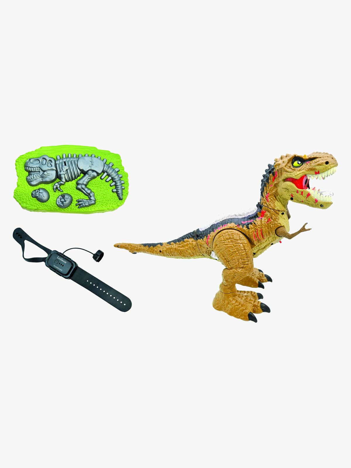 DINO02-2823_3c.jpg