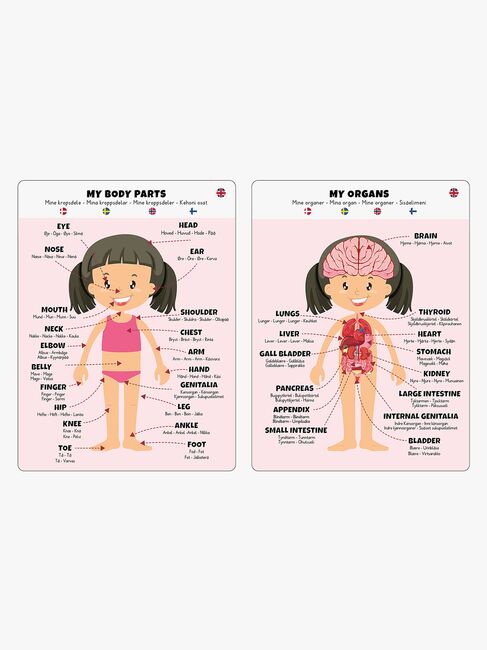 Barbo Toys Body Pussel Flicka 36 Bitar