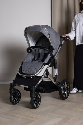 Beemoo Maxi 4 Buggy, Grey/Silver