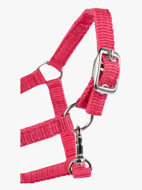 My Hobby Horse Grimma, Rosa