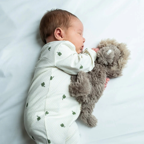 That's Mine Houston Tyngdgosedjur Dinosaurie 0,13 kg