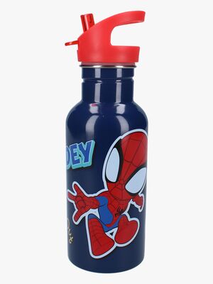 Spidey And His Amazing Friends  Rostfritt stål Vattenflaska 500ml, Take a Sip