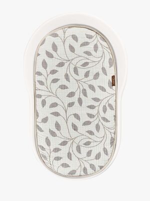 Quax Mamee Inlay Sittepute, Leaf