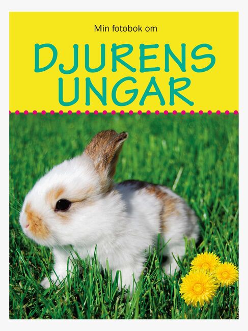 Min fotobok om Djurens ungar