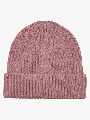 CeLaVi Mössa, Nostalgia Rose