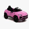 8540099-2RLI-PINK-2896_1.jpg