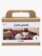 Creativ Company Pysselset Filttomte DIY
